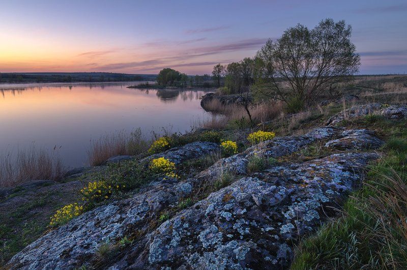 река, сугоклей, ивы, камни, рассвет, цветы Гармония стихийphoto preview