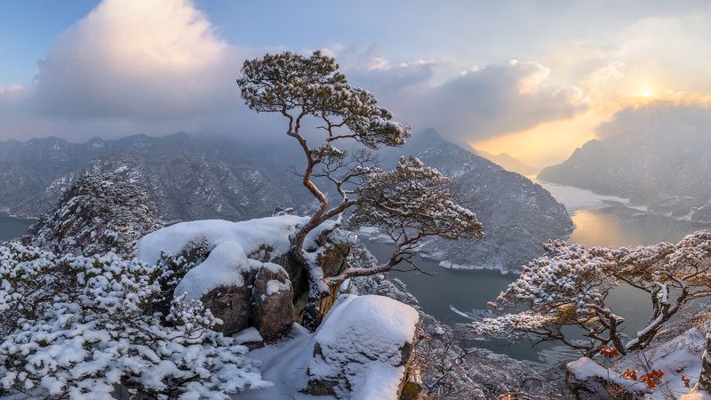 Falling Half Wings, Winter Gudambong