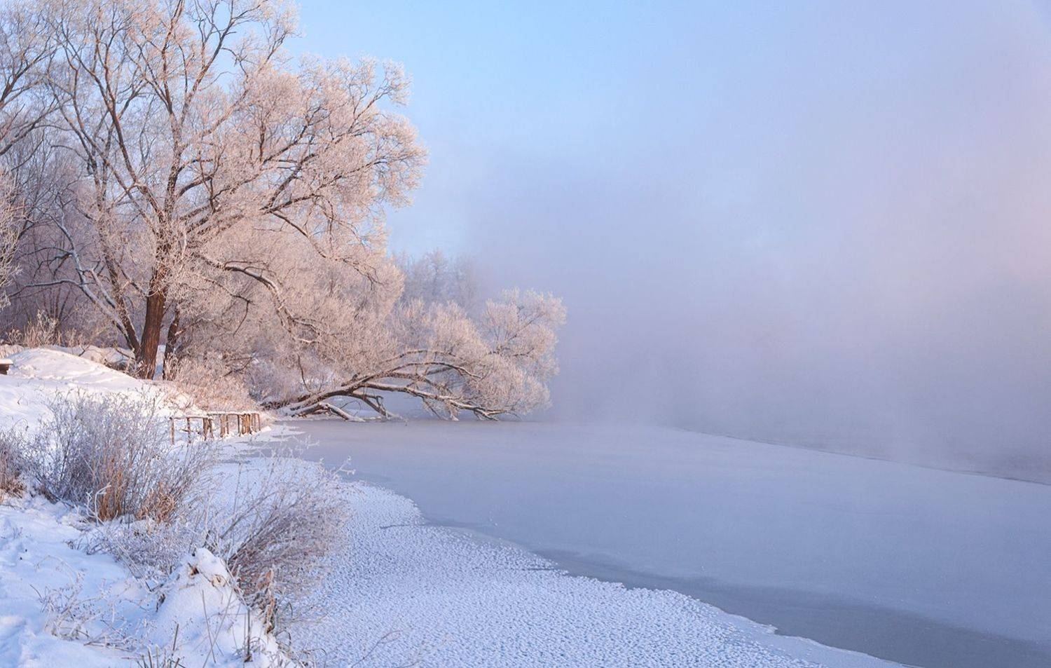 Зимы прекрасные мгновенья.... Автор: Анатолий Зверев , Анатолий Зверев