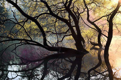 Pond of illusion