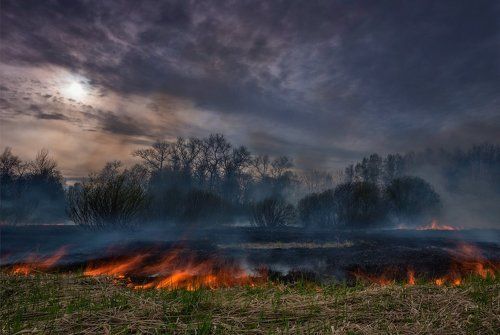 Пожар в Царском Селе