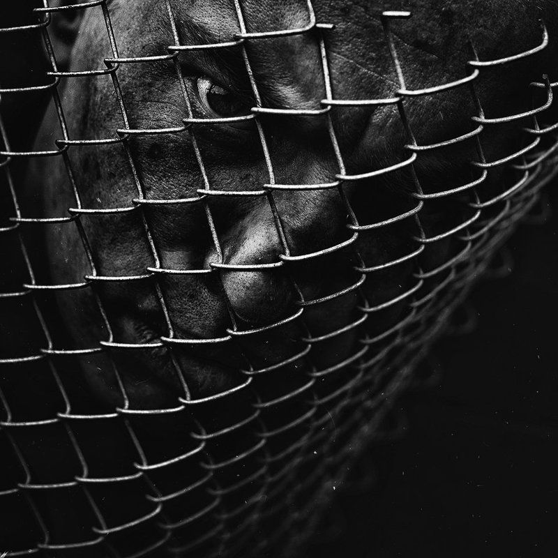 Darkness, Light, Man, Photography, Portrait, Slave Slavephoto preview