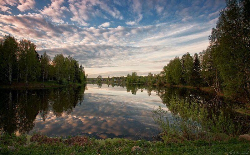 Весна, Вечер, Лес, Май, Пейзаж, Природа, Пруд Майские фантазии...photo preview