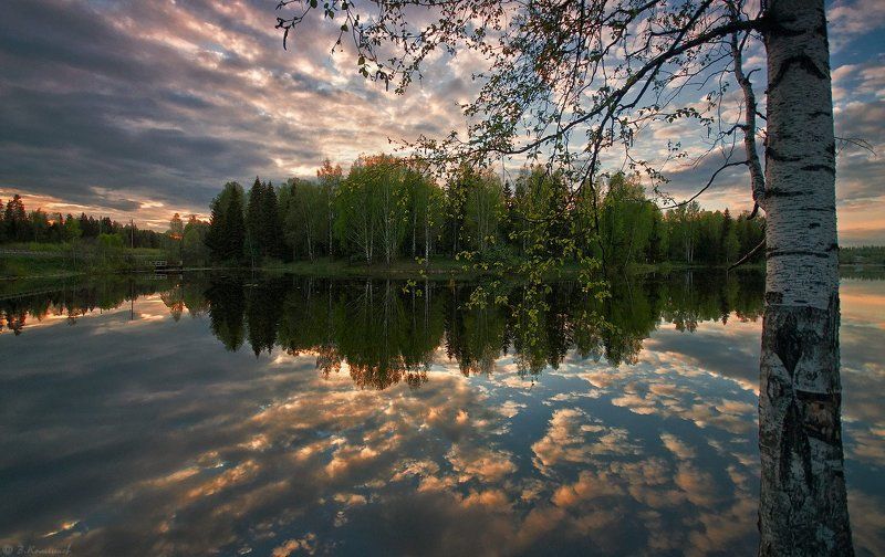 Весна, Вечер, Лес, Пейзаж, Природа, Пруд Весны пожар в мятежном сердце...photo preview