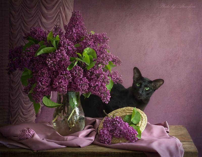 В сиреневых тонахphoto preview