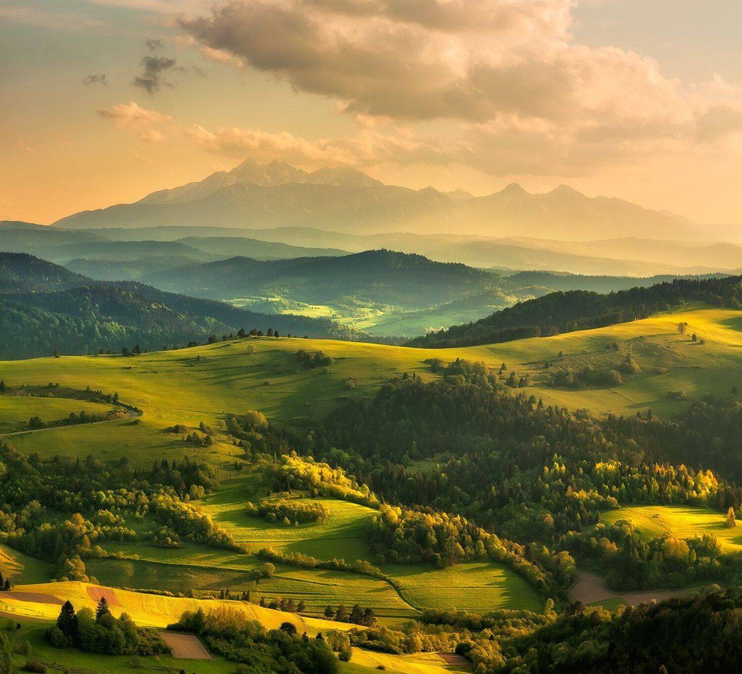 , Pawel Uchorczak