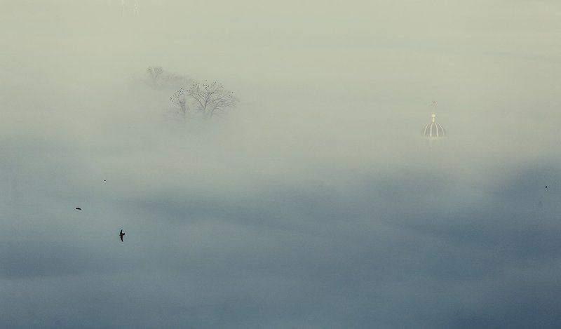 heavenly morningphoto preview