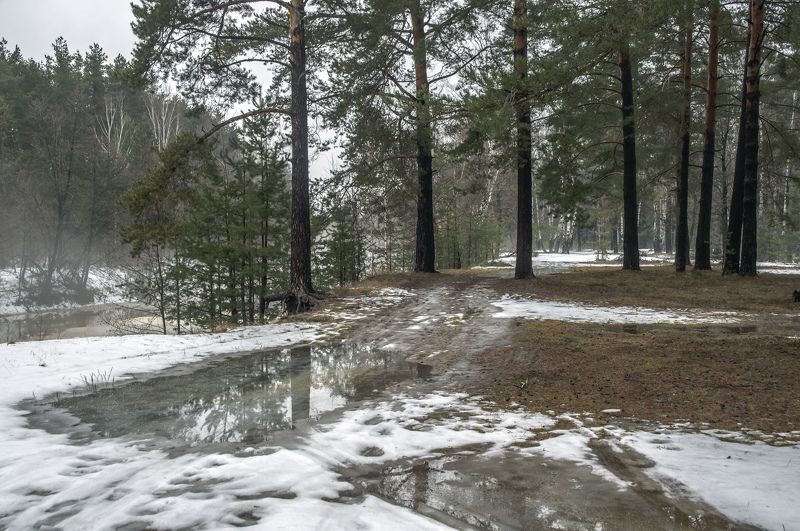 Оттепель.photo preview