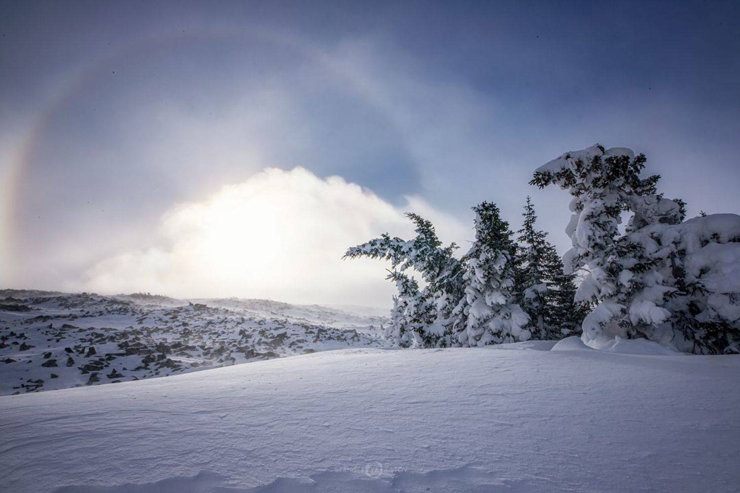 Поклоняющиеся Солнцу. Автор: Станислав Аристов , Станислав Аристов