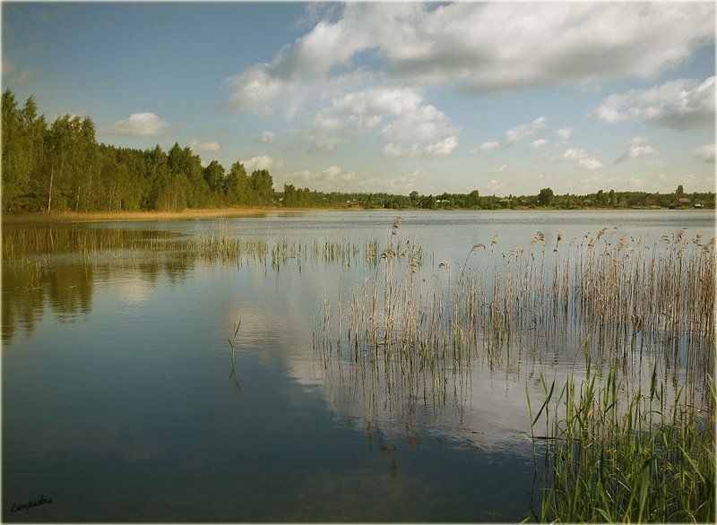 Озеро Белоеphoto preview