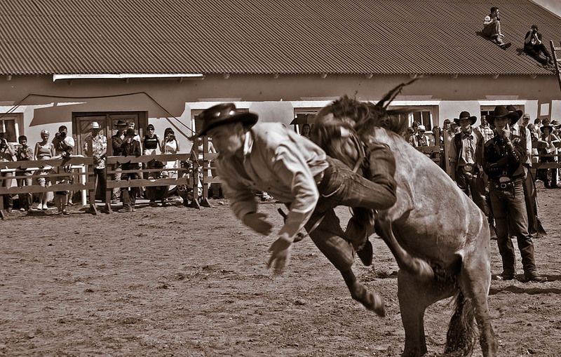 необъезженный жеребецphoto preview