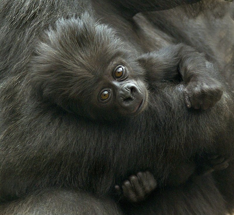 Взгляд на мирphoto preview