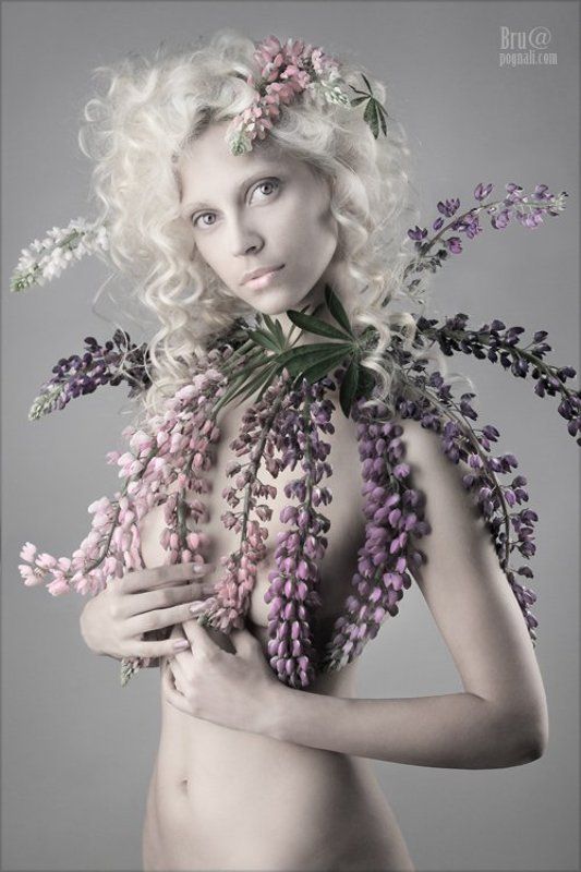 девушка, люпины Люпиныphoto preview