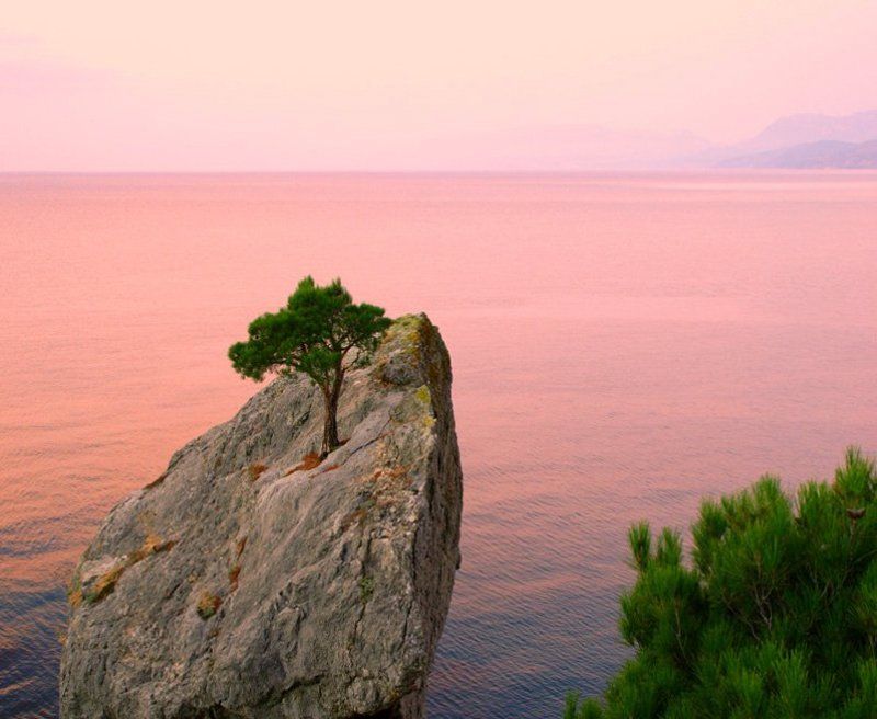 утро под Караул Обаphoto preview