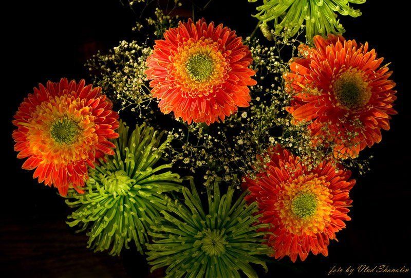 светографика, букет, фейерверк Букет для любителя фейерверковphoto preview