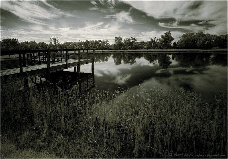 ик, пейзаж, infrared, инфракрасный, инфракрасное, pilgrim, canon eos 20d Simple love song...photo preview