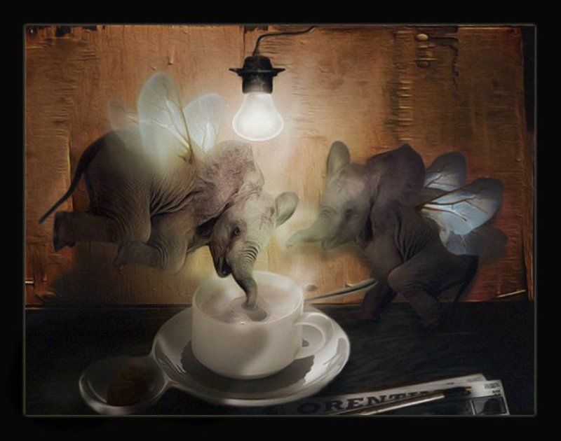 бывает жеphoto preview