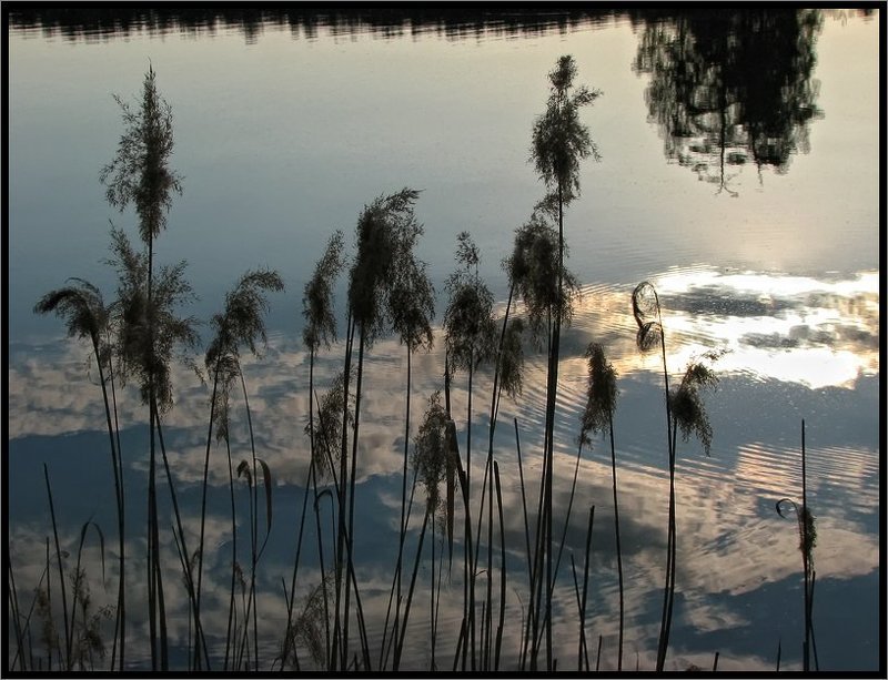 Вечер на озереphoto preview