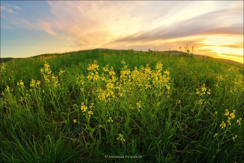 мурманск,лето,ночь,полярный день Летняя ночь на Кольском полуострове.photo preview