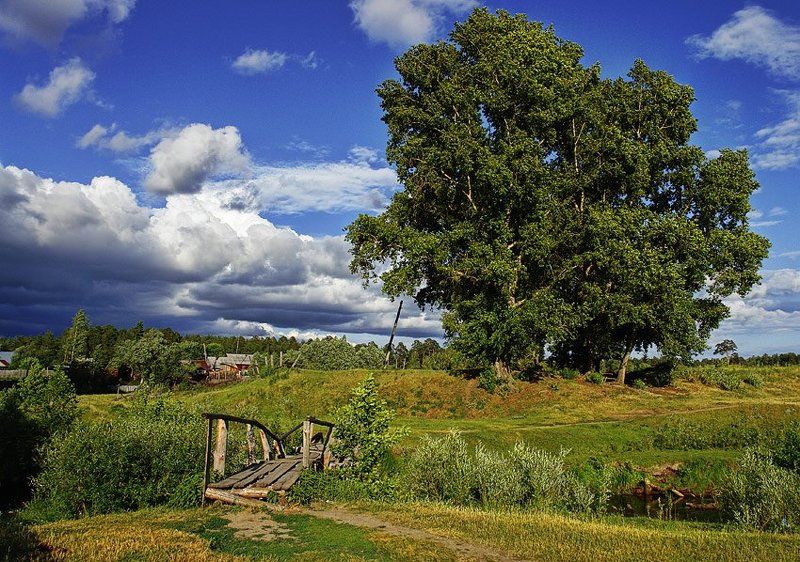 перед грозойphoto preview