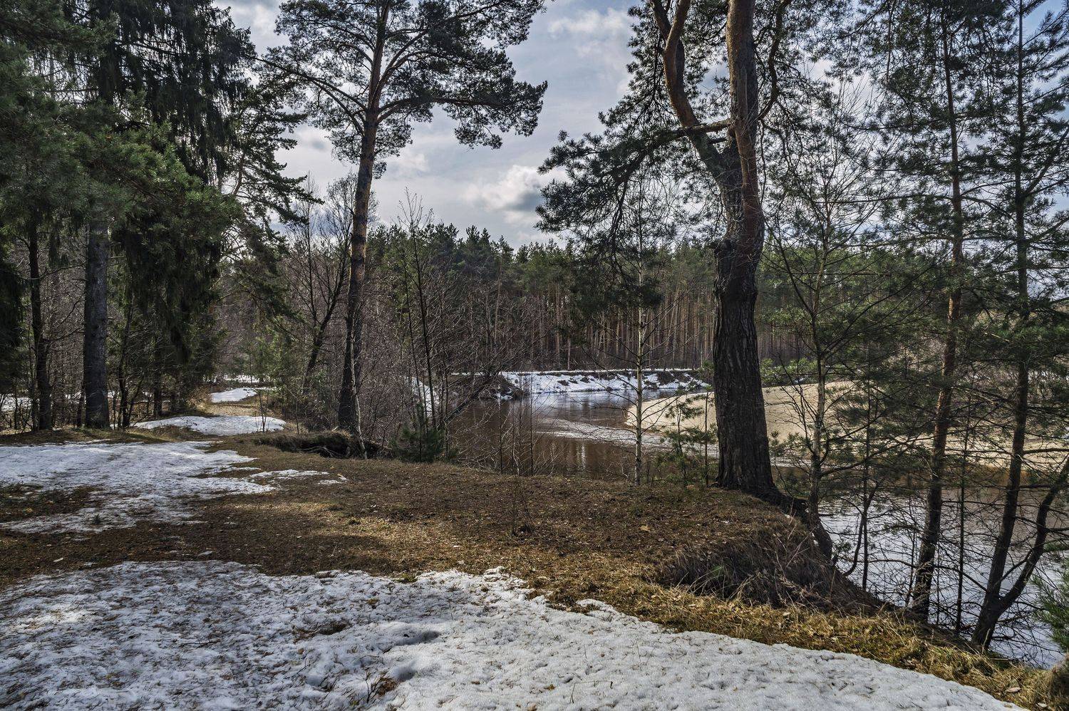 весна, лес, берег, снег., Шитов Александр