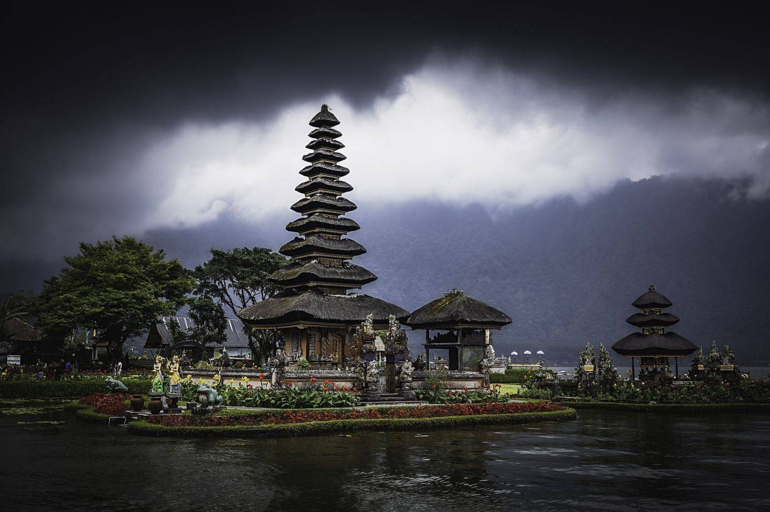 , Могилевич Elena