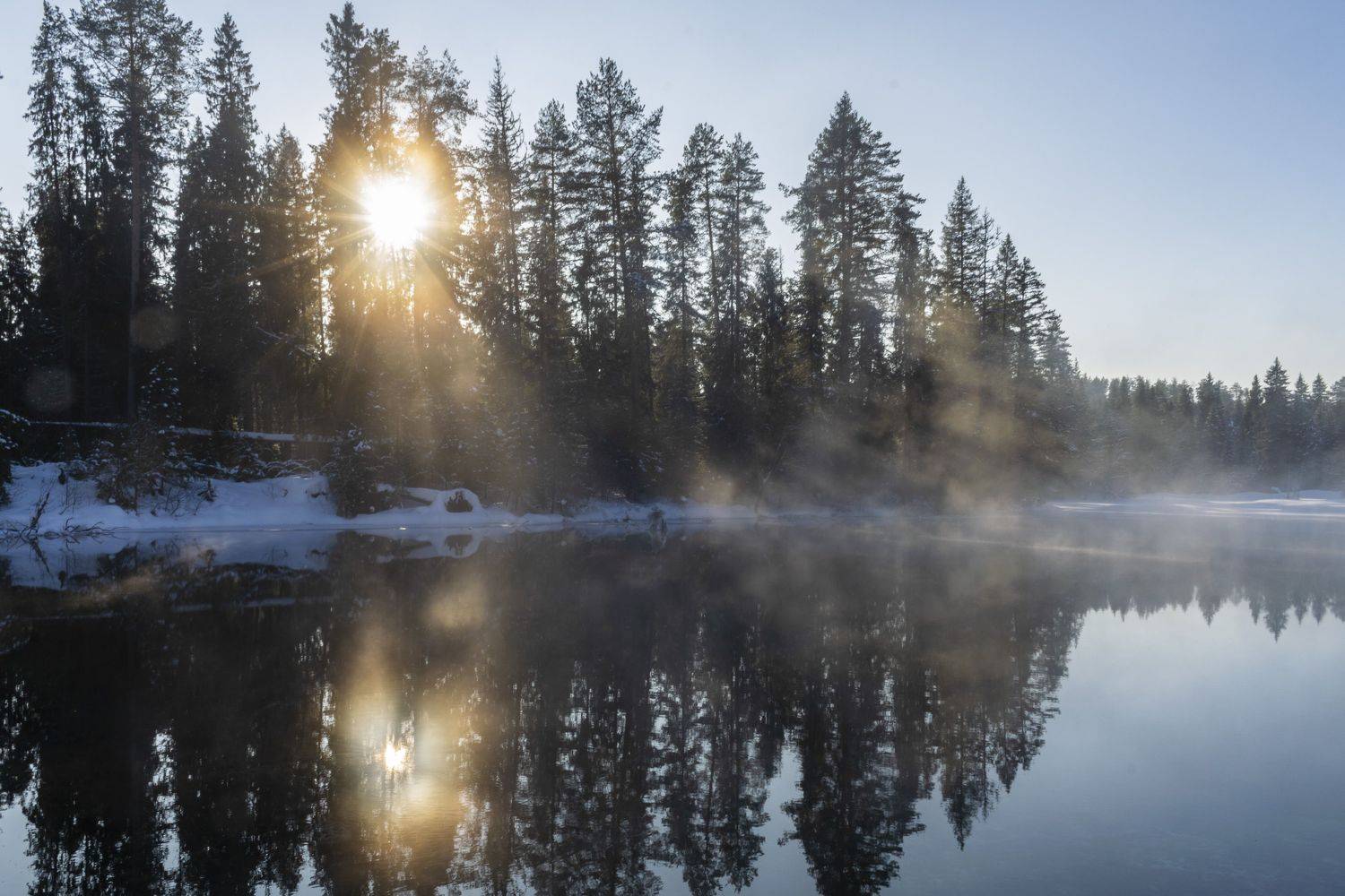 Автор: Галина Луценко , Галина Луценко