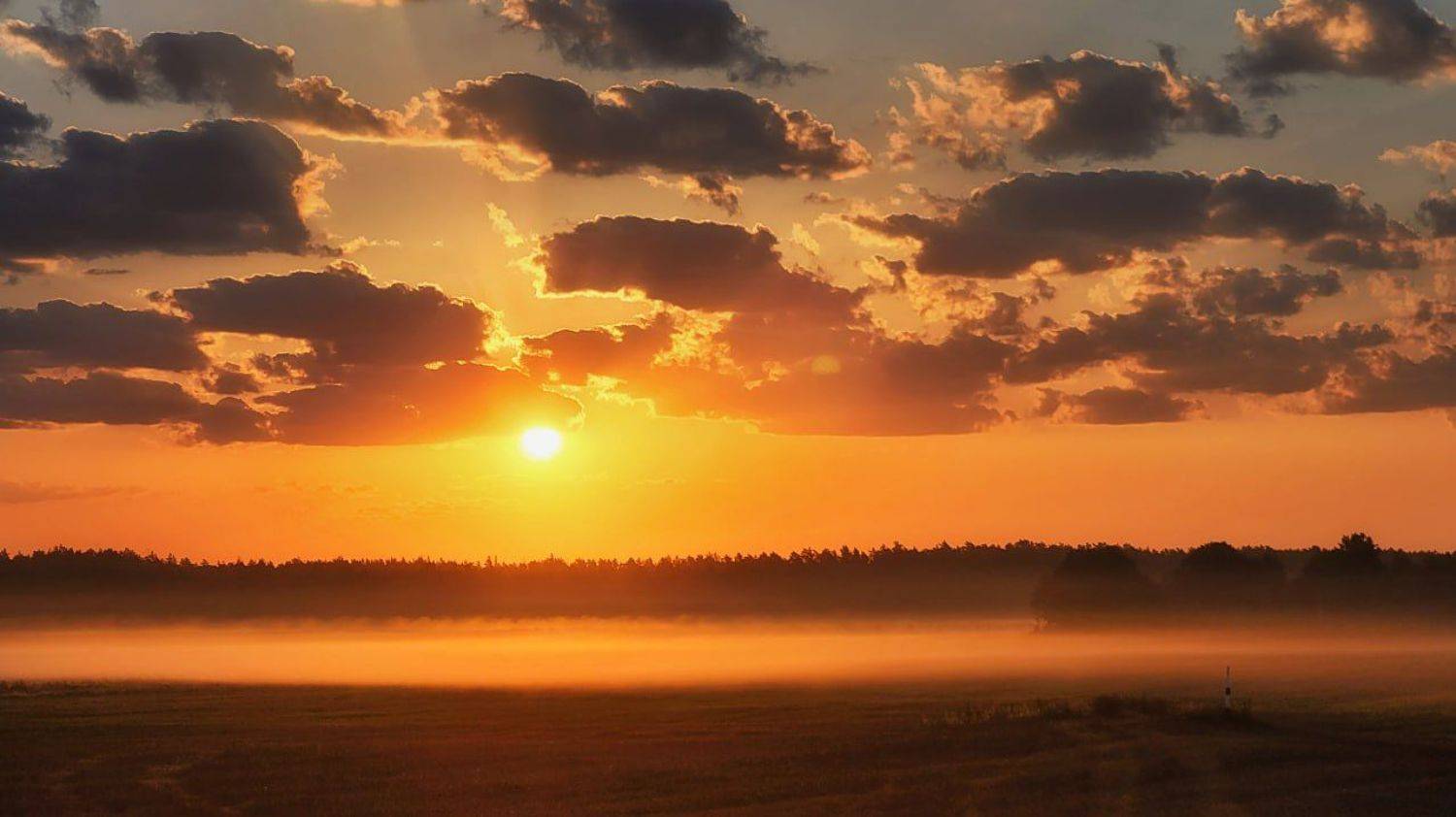 Утренний пейзаж. Автор: Сергей Шляга , Сергей Шляга