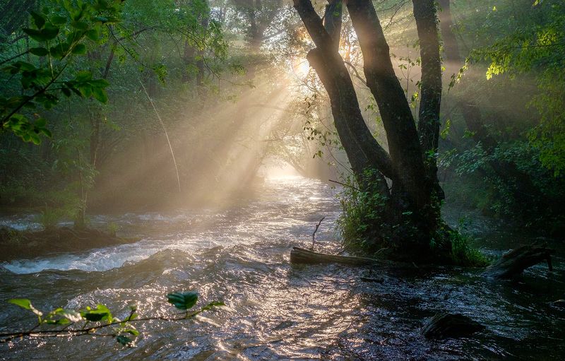 Солнечный луч в каньоне реки Чернаяphoto preview