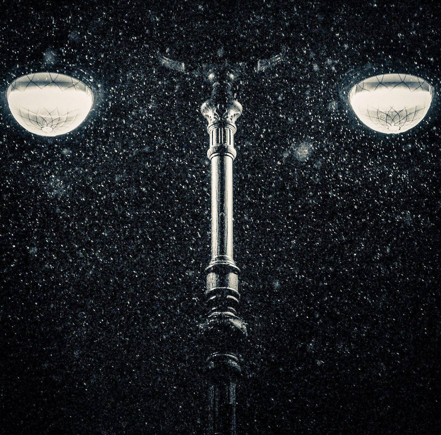 Автор: Мальцев Евгений , Мальцев Евгений