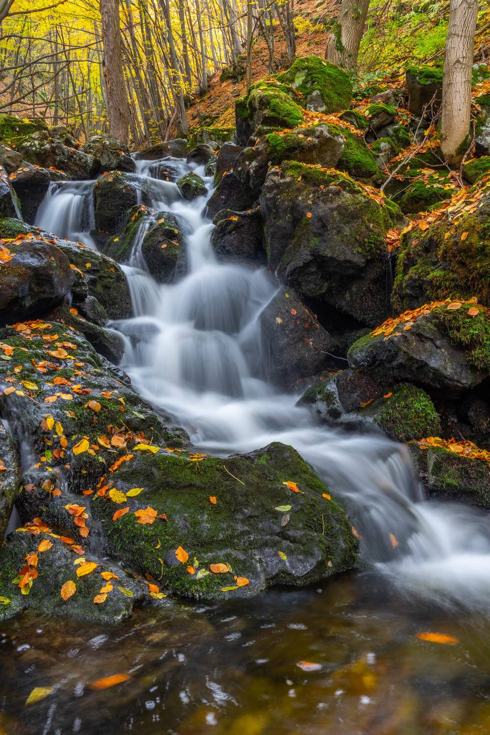 river nature autumn vertical landscapes, viktor demidov