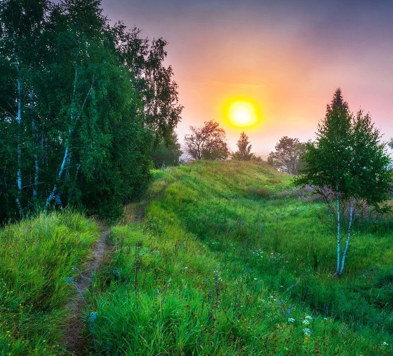 Туманный рассвет photo preview