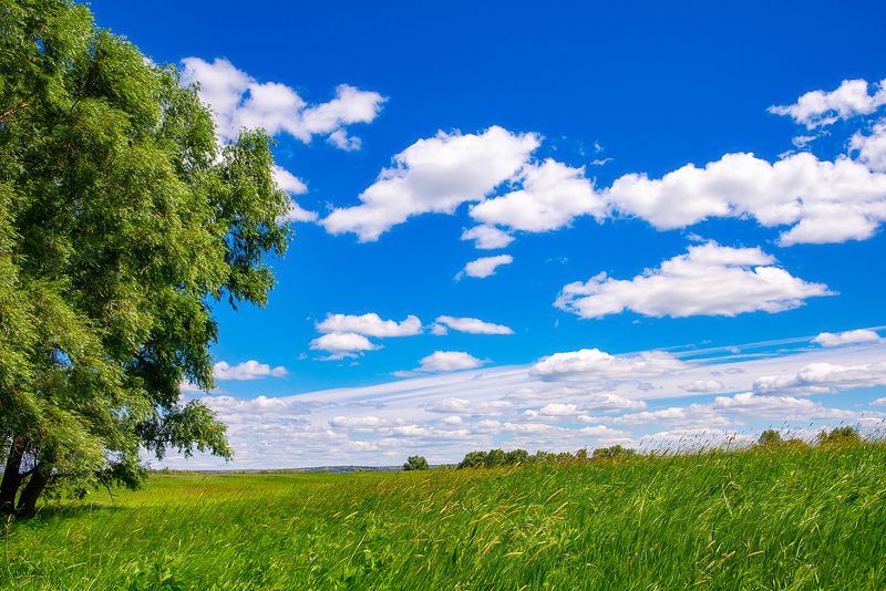 Лето~photo preview