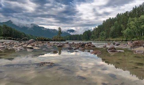 Катунь