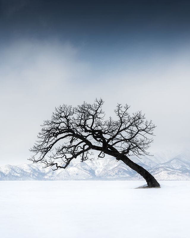 Hokkaido Japan