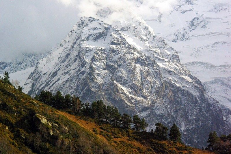 Контрастыphoto preview