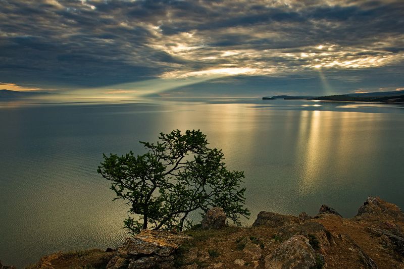 Прожекторыphoto preview