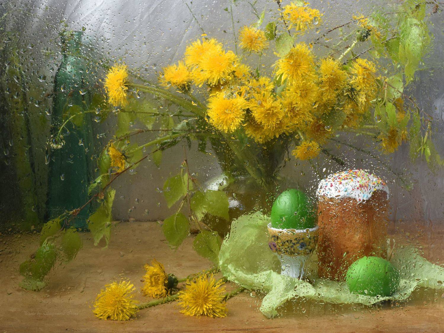 , Ирина Шипунова