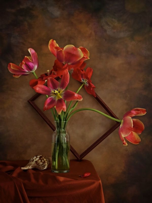 Тюльпаны..photo preview