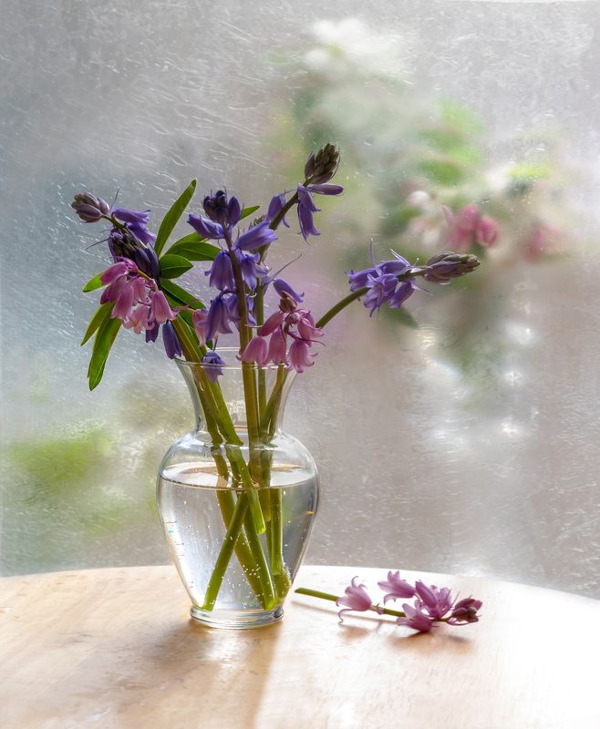 натюрморт,гиацинты,декор,весна,макро,цветы,флора,листья,ваза,лепестки, Весенние радостиphoto preview