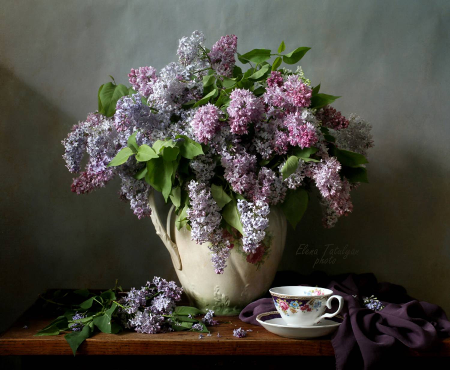 сирень, Елена Татульян