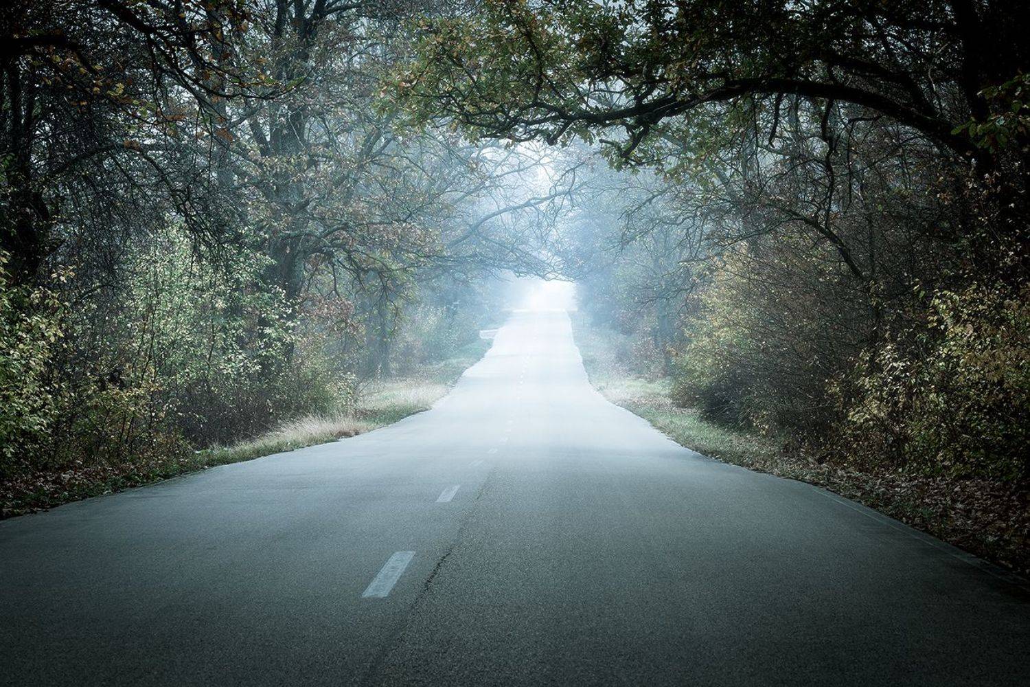 2022.11.06-2. Автор: Borislav , Borislav