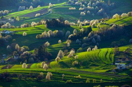 Magic Slovakia