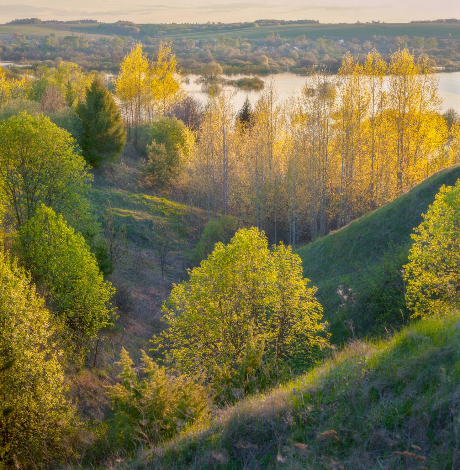 Майский вечер. Автор: Сергей Буторин май вечер закат весна листья деревья разлив, Сергей Буторин