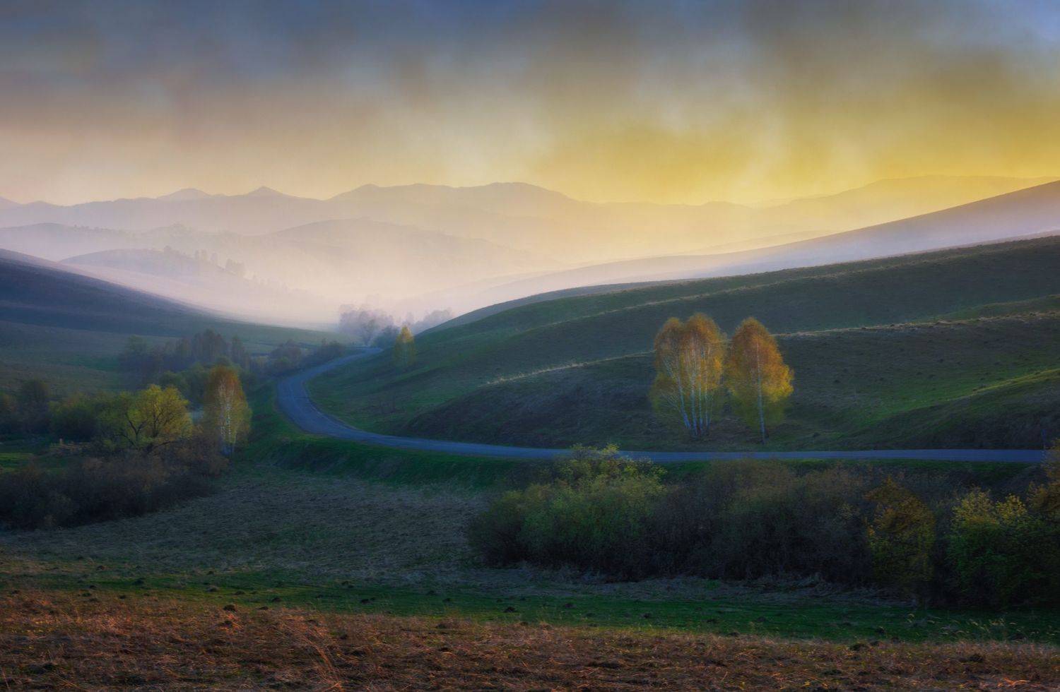 алтайский край,весна,вечер,дорога,дым от горения сухостоя, Лора Павлова