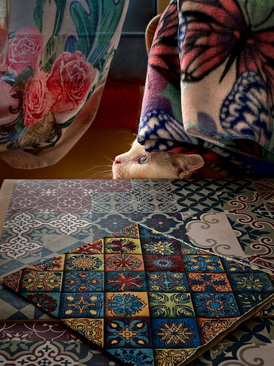 Кошка , Ксения Орлова