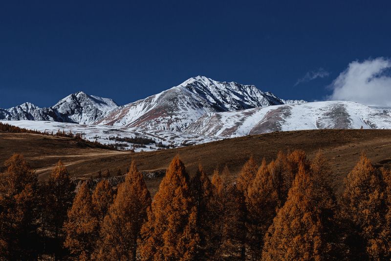 горы, горный алтай, чуйский тракт, пейзаж, алтай, дорога, россия Чуйский трактphoto preview