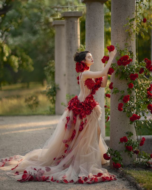 роза, цветы, девушка, пышное платье, кутюр, сад, сказка, фентези Садовая розаphoto preview