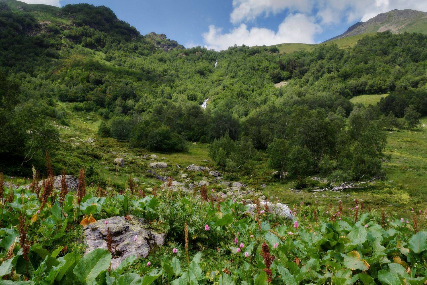 , Лысенко Сергей