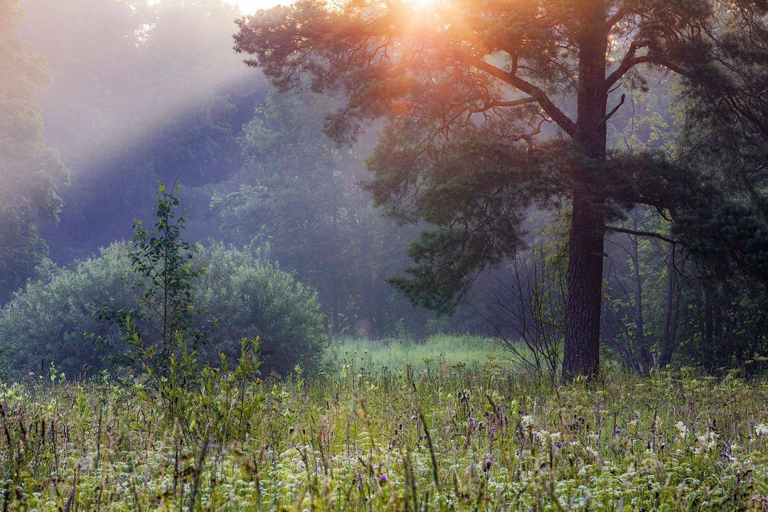 Автор: михайлов , михайлов